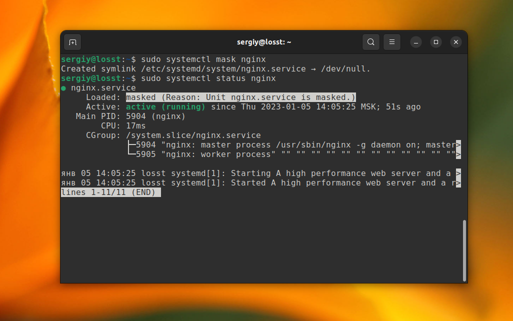How to Remove Service in Linux | Losst