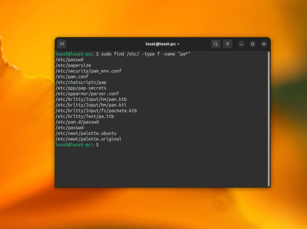 How to find file in linux losst