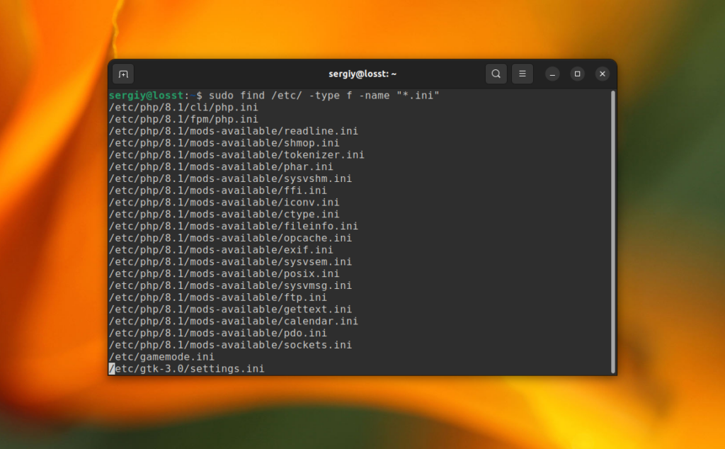 How to Find Files with Extension in Linux Losst