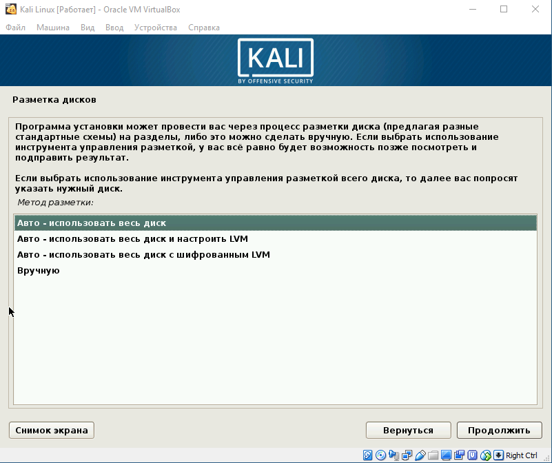 Как установить кали линукс. Разметка диска для Linux kali. Kali разметка дисков. Kali Linux разметка диска вручную. Linux установка разметка диска.