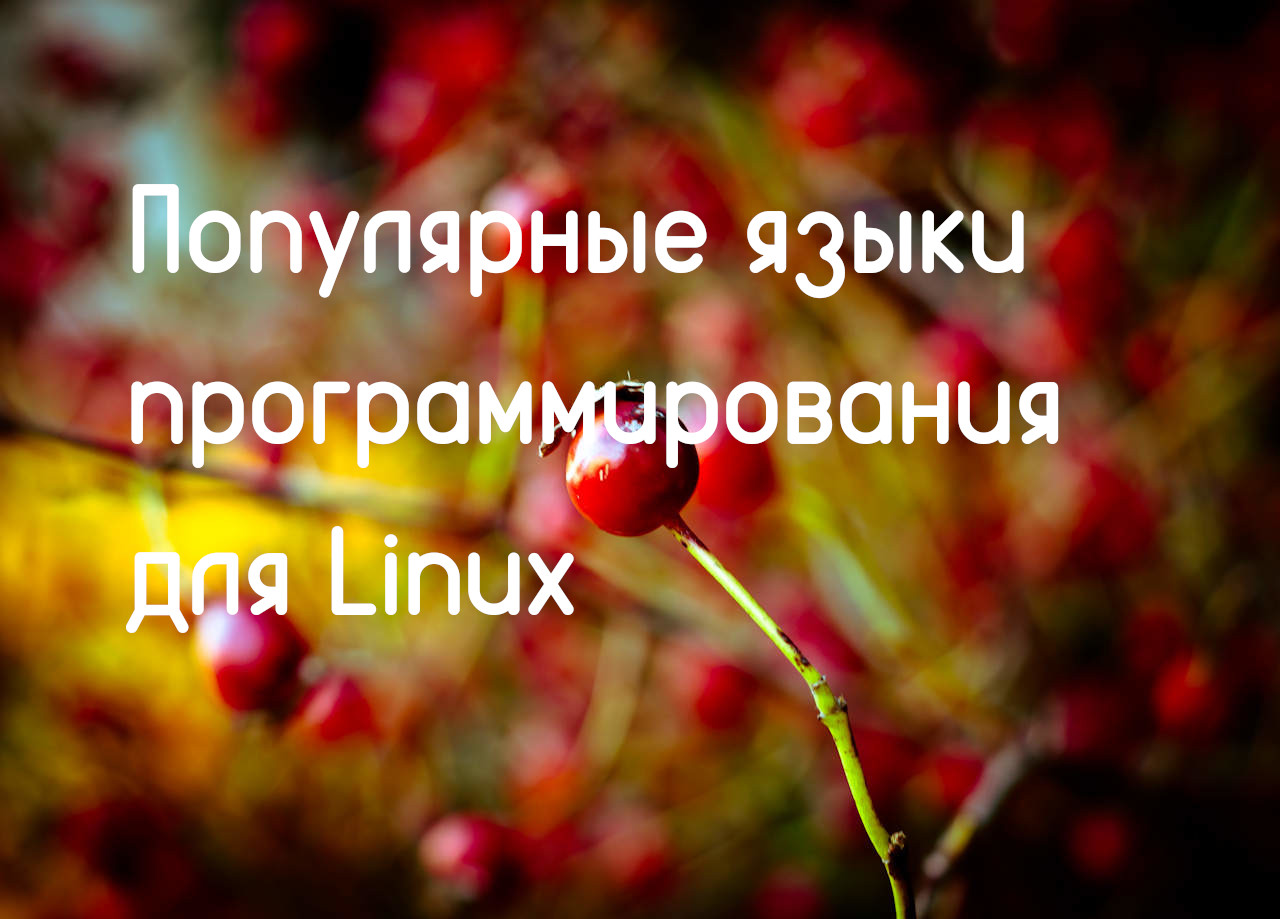 Популярные языки программирования Linux - Losst