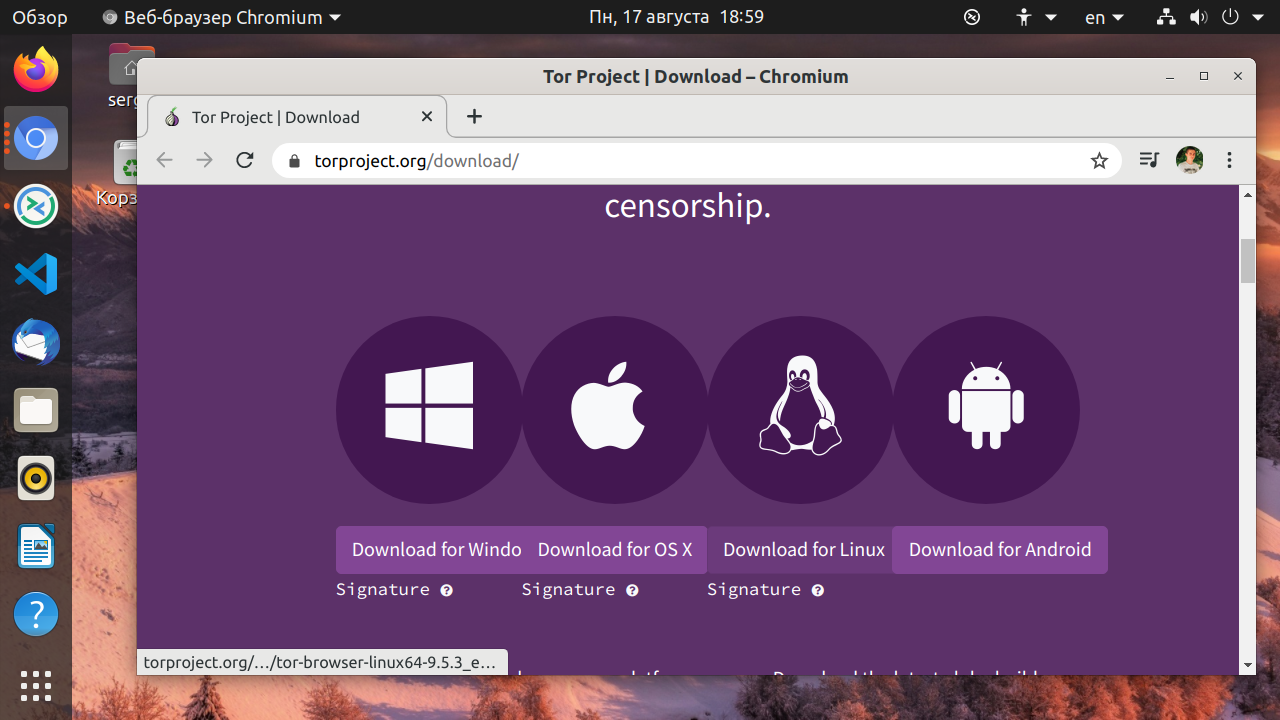 как установить тор браузер на ubuntu даркнет