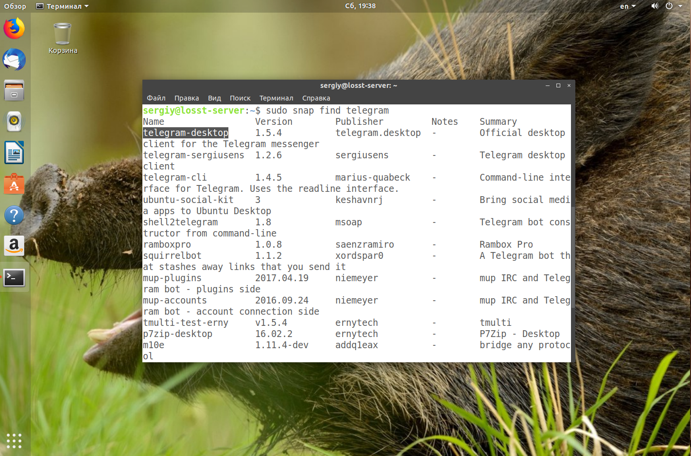 Telegram desktop linux. Телеграмм desktop Linux. Telegram cli. Telegram cli for Linux. Telegram Ubuntu Server.