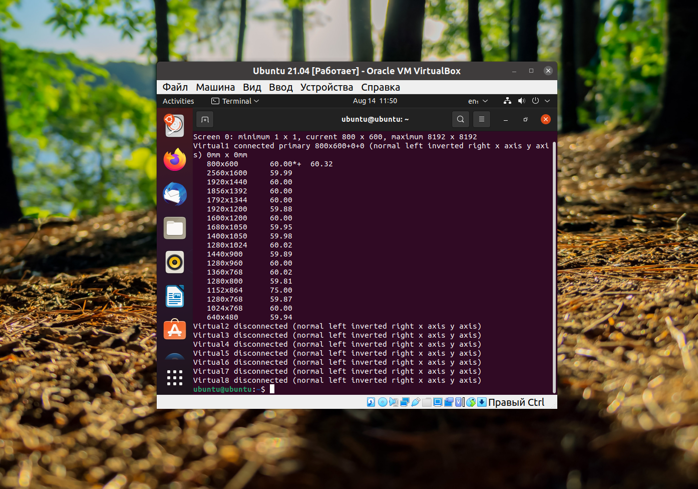 Разрешение экрана Ubuntu в VirtualBox - Losst