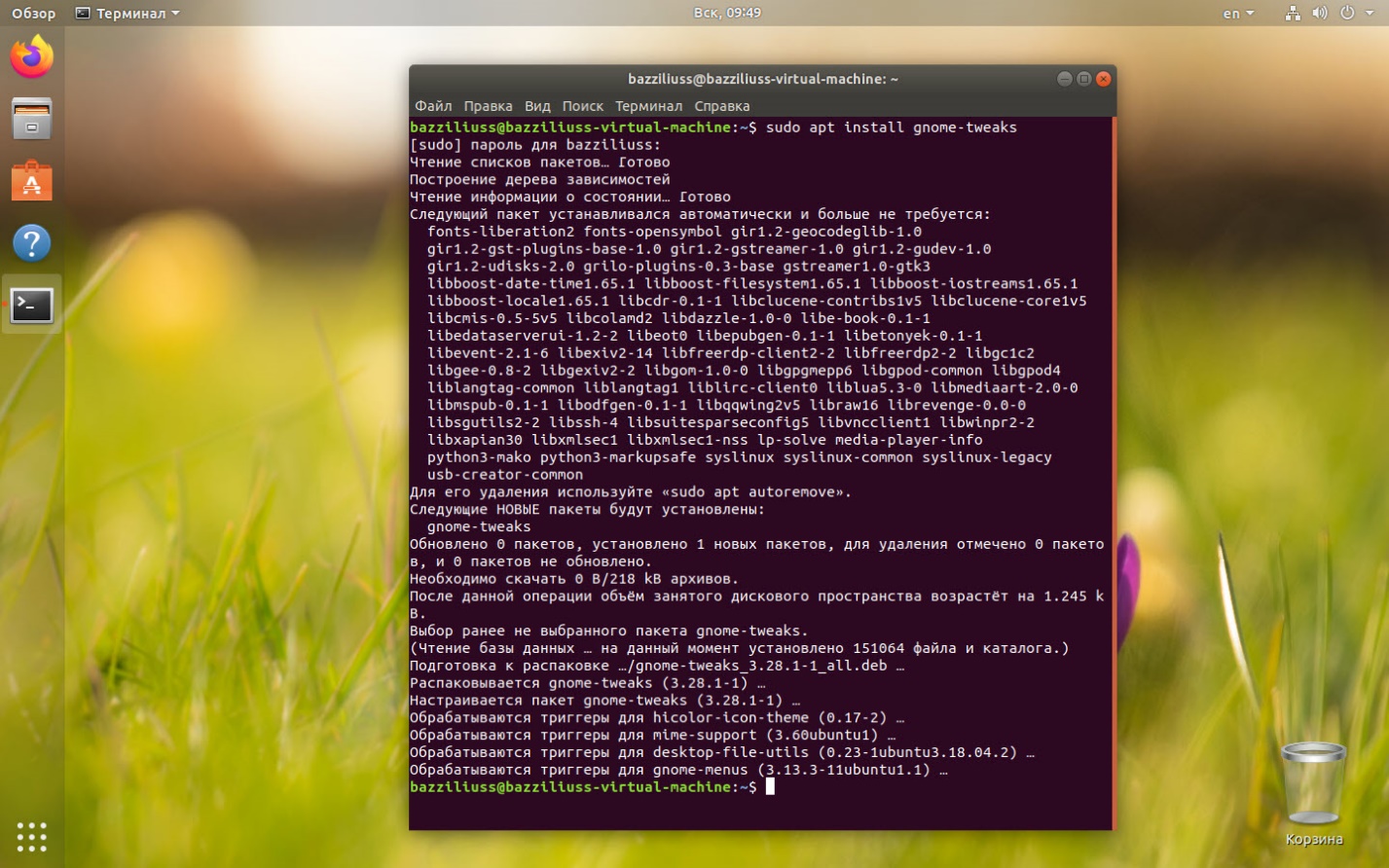 Установка gnome tweak tool. Установка Gnome. Gnome tweak Tool. Ubuntu Gnome tweak Tool. Убунту Gnome настройки.