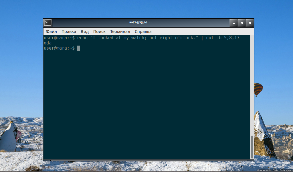 Команда cut Linux - Losst