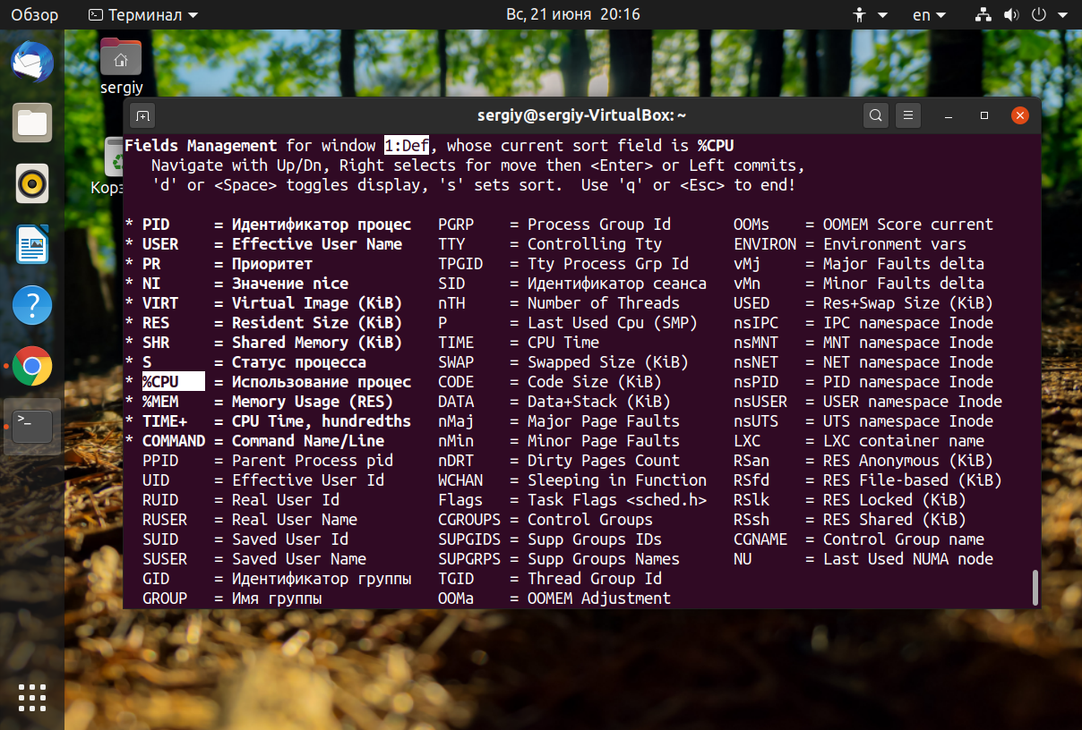 Atril Linux. Таблица процессов Linux. Список запущенных процессов линукс. Виды процессов в Linux.