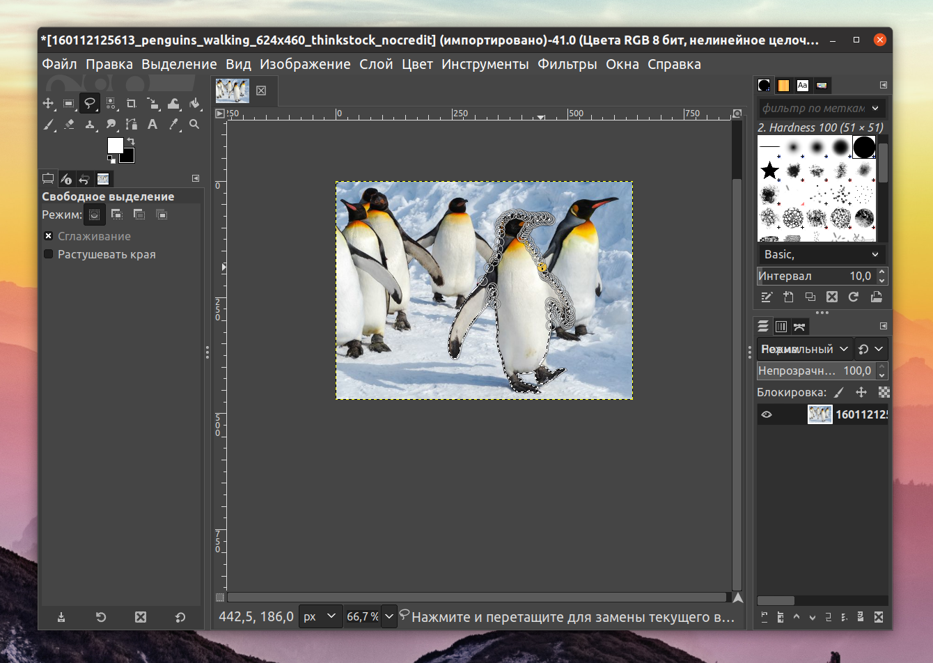 Выделение объектов на изображении. Gimp обработка фотографий. Вырезать в гимп. Как вырезать в гимп. Автокадрирование в gimp.