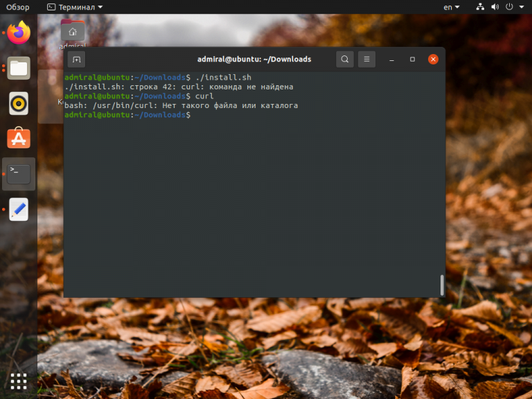 Установка curl в Ubuntu Losst