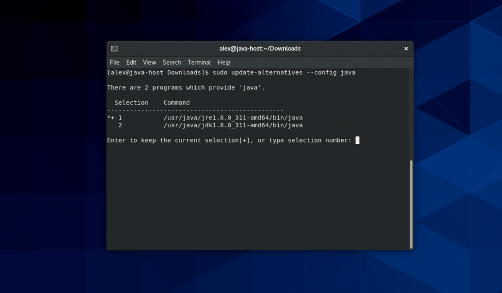 Установка Java в Linux - Losst