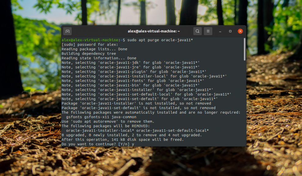 Как удалить java ubuntu