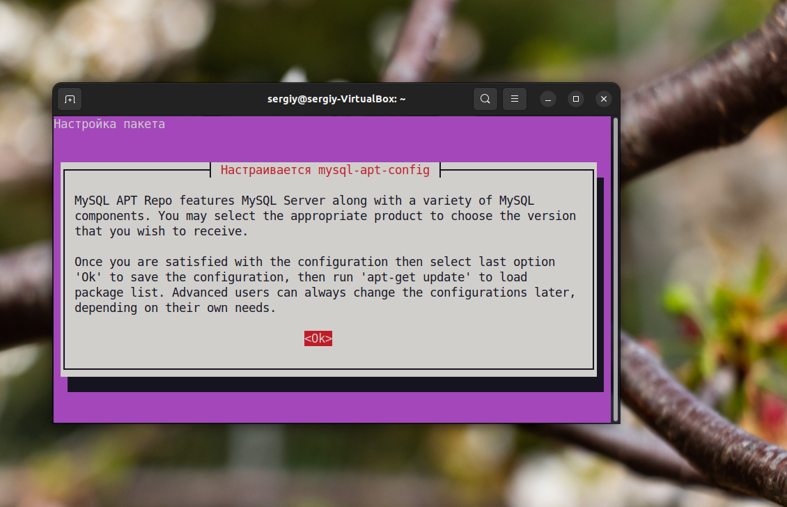 Установка mysql ubuntu 22.04