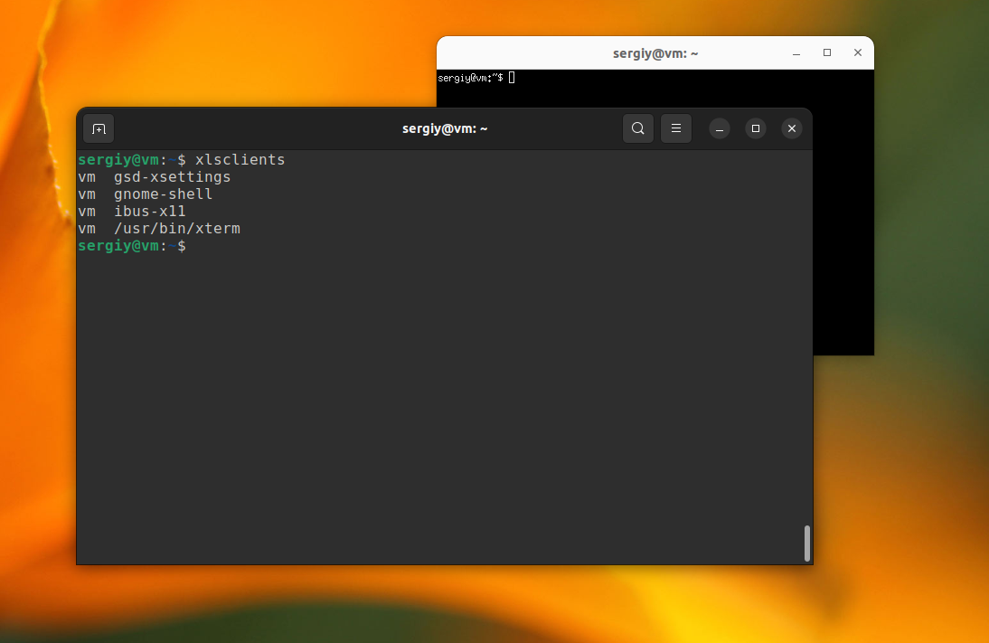 Как узнать Wayland или Losst