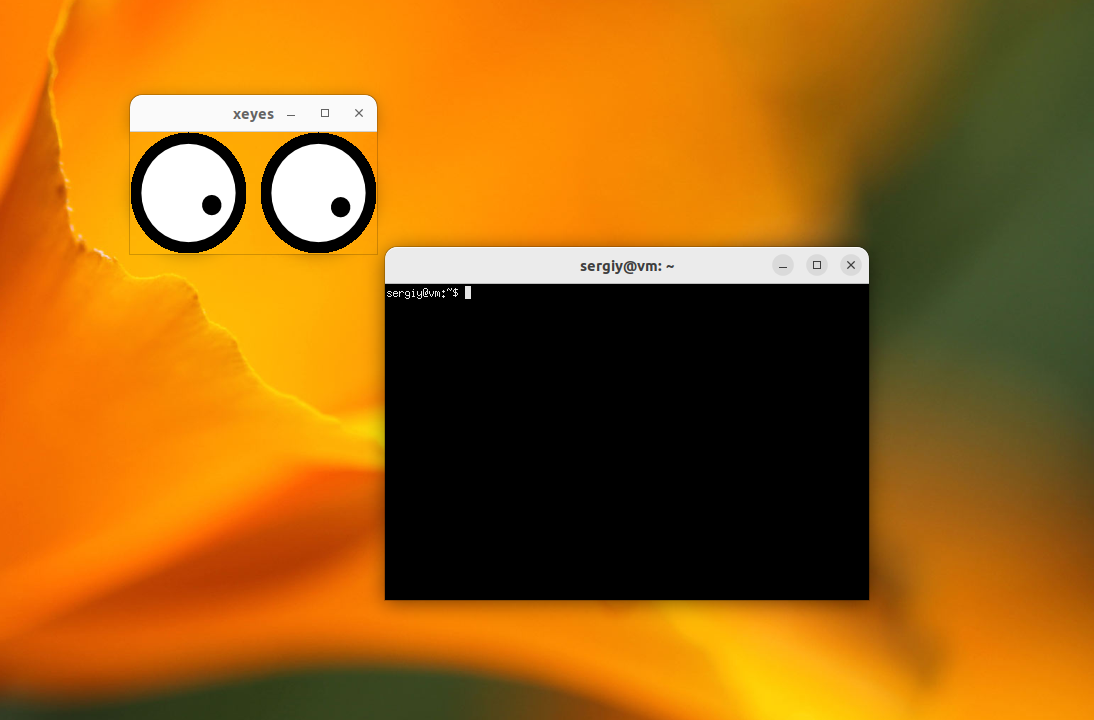 Как узнать Wayland или Losst